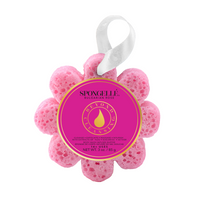Wild Flower Assorted Pack