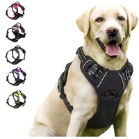 Dog Collars Harness Big Vests Leash Pet Shop Everything for Dogs Leather Puppy Accessories Medium Small Set Quick Pick Grocers