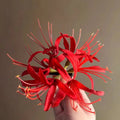 Retro Red Spider Lily Tassel Hair Clip Fabric Flower Hairpin Bride Hairwear Countryside Style Hair Accessories Quick Pick Grocers