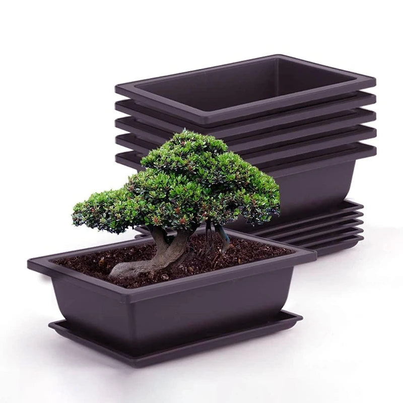Rectangular Flowerpots Plastic Bonsai Plants Pot Square for Flower Balcony Garden Yard Landscape Bonsai Pot Trays Home Decor Quick Pick Grocers