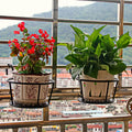 One pack of 1/2/3 iron art hanging flower pots with hanging hooks, metal plant planting hanging basket, detachable, for balcony Quick Pick Grocers