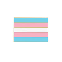 Asexual Gay Lesbian Enamel Brooches LGBT Pride Non-binary Trans Backpack Badge Rainbow Rectangle Lapel Pin Jewelry Friends Gifts Quick Pick Grocers