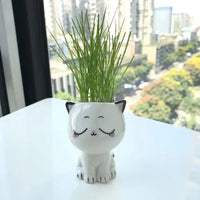 1pc Ceramic Flowerpot Mini Cat Cartoon Cute Plant Desktop Potted Plant Pot DIY Decorate Toys Science Education School Gifts Quick Pick Grocers