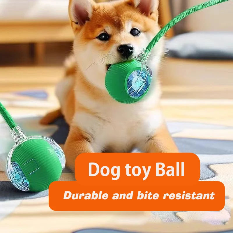 New Dog Interactive Ball Toy,Automatic Rolling Dog Ball Rechargeable,Smart Puppy Interactive Toy,Intelligent Balls Toy for Dogs Quick Pick Grocers