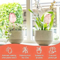 Pink tulip plant watering balls, suitable for indoor and outdoor plants, automatic plant drippers, and automatic watering Quick Pick Grocers