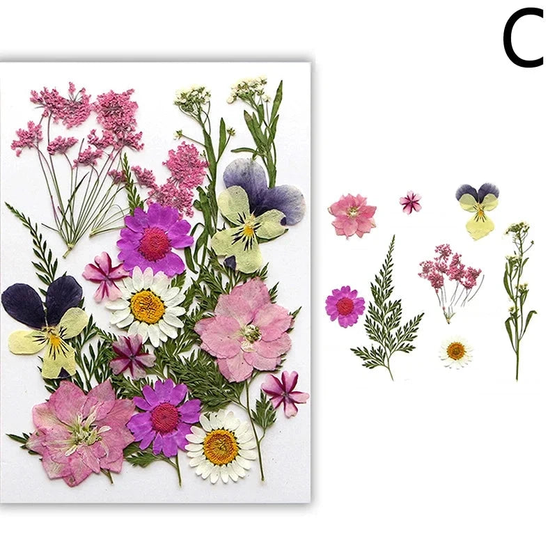 For Fun DIY Embossed Dried Flower Resin Fillings Real Flower for Home Decoration Nail Art Handicrafts Jewelry Making Crafts Econic Blanks