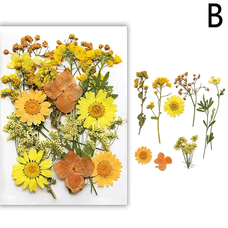 For Fun DIY Embossed Dried Flower Resin Fillings Real Flower for Home Decoration Nail Art Handicrafts Jewelry Making Crafts Econic Blanks