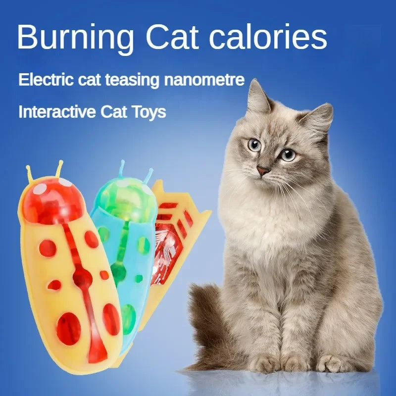 Pet Interactive Mini Electric Bug Cat Toy Kitten Escape Obstacle Automatic Flip Toy Battery Operated Vibration Beetle Supplies Econic Blanks