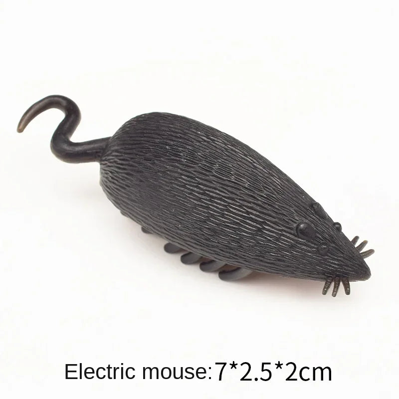 Pet Interactive Mini Electric Bug Cat Toy Kitten Escape Obstacle Automatic Flip Toy Battery Operated Vibration Beetle Supplies Econic Blanks