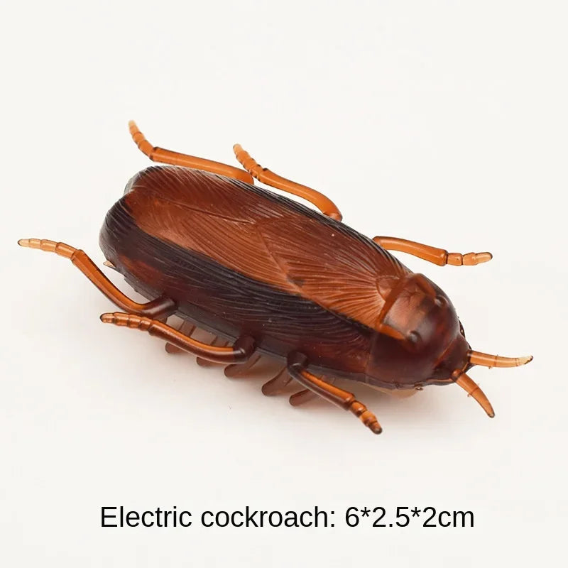 Pet Interactive Mini Electric Bug Cat Toy Kitten Escape Obstacle Automatic Flip Toy Battery Operated Vibration Beetle Supplies Econic Blanks