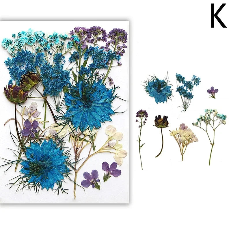 For Fun DIY Embossed Dried Flower Resin Fillings Real Flower for Home Decoration Nail Art Handicrafts Jewelry Making Crafts Econic Blanks