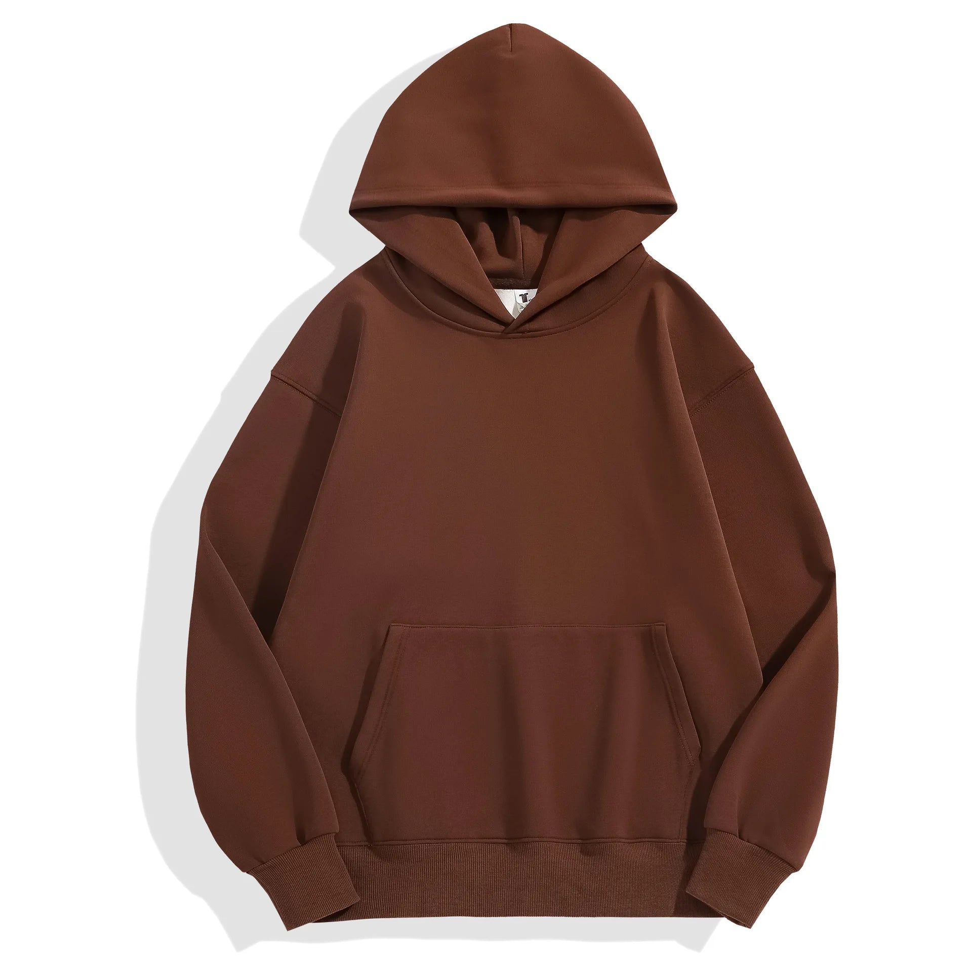 16.9oz 480gsm Heavy Weight Cotton Plus Velvet Hooded Sweater Men Thickened Tight Polar Fleece Pullover Hoodie Women Sweatshirt Econic Blanks