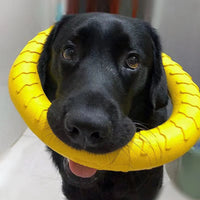 Dog Ring Toys Indestructible Chewing Flying Floating Training Tools Fetch for Small Medium Large Dogs Throwing Catching Flying Econic Blanks
