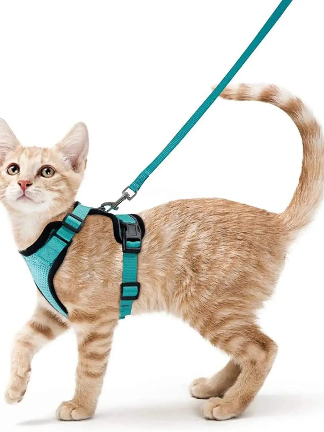 Cat Harness and Leash for Walking, Escape Proof Soft Adjustable Vest Harnesses for Cats, EasyControl Econic Blanks