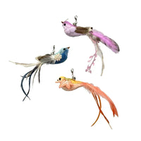 Simulation Bird Cat Toys Funny Interactive Peacock with Bell Cat Stick Toy for Kitten Playing Teaser Wand Toys Pet Cats Supplies Quick Pick Grocers