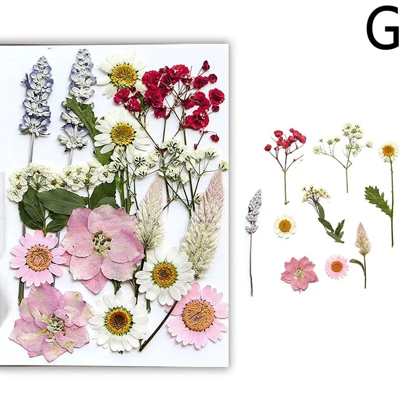 For Fun DIY Embossed Dried Flower Resin Fillings Real Flower for Home Decoration Nail Art Handicrafts Jewelry Making Crafts Econic Blanks
