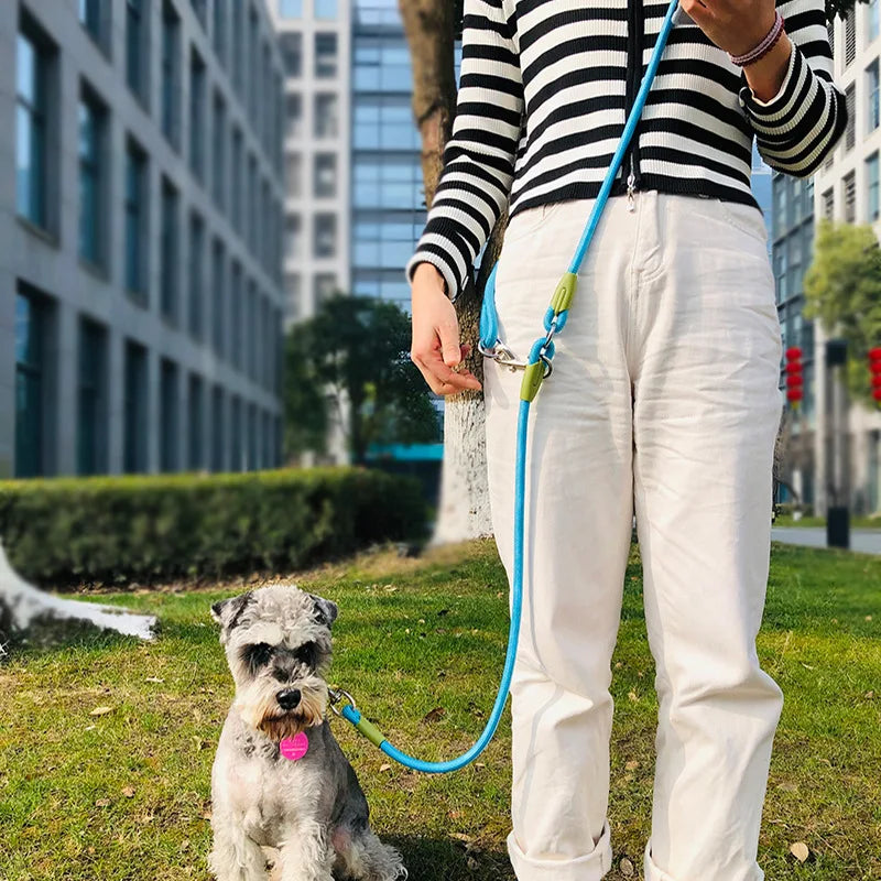 Reflective Nylon Leashes Pet Dogs Chain Traction Rope Leads for Running Dog Walking Free Hands Rope Chain for Small Large Dogs Quick Pick Grocers