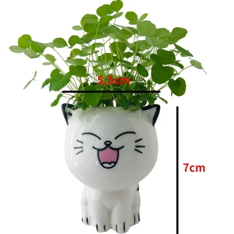 1pc Ceramic Flowerpot Mini Cat Cartoon Cute Plant Desktop Potted Plant Pot DIY Decorate Toys Science Education School Gifts Quick Pick Grocers