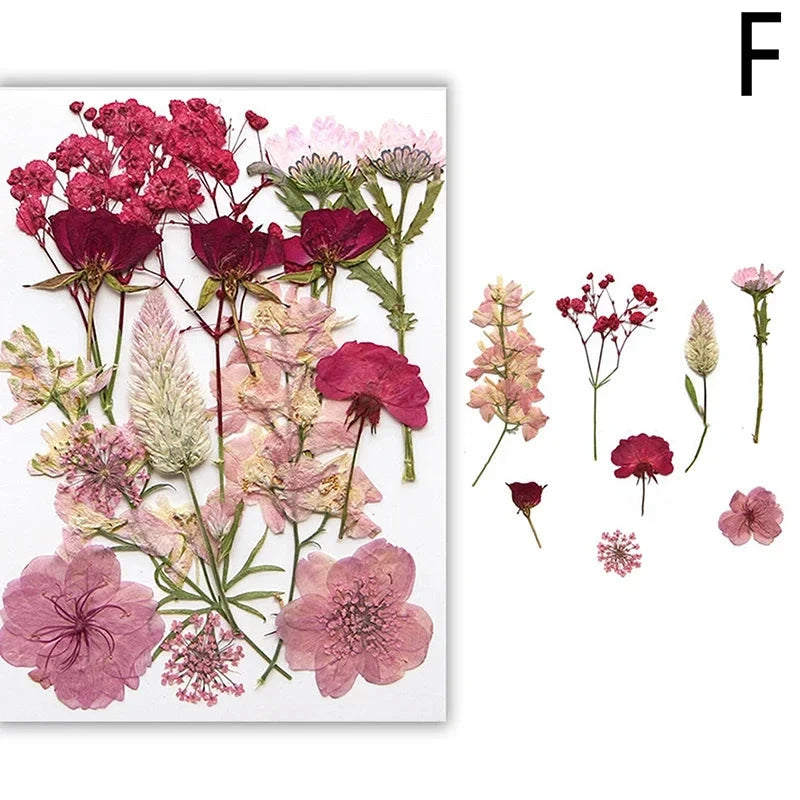 For Fun DIY Embossed Dried Flower Resin Fillings Real Flower for Home Decoration Nail Art Handicrafts Jewelry Making Crafts Econic Blanks