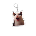 Funny Cat Memes Series Keychain Student Gift Bag Lanyard  Women's Bag Pendant Keychain Cute Things Cheap Gift For Best Friends Econic Blanks