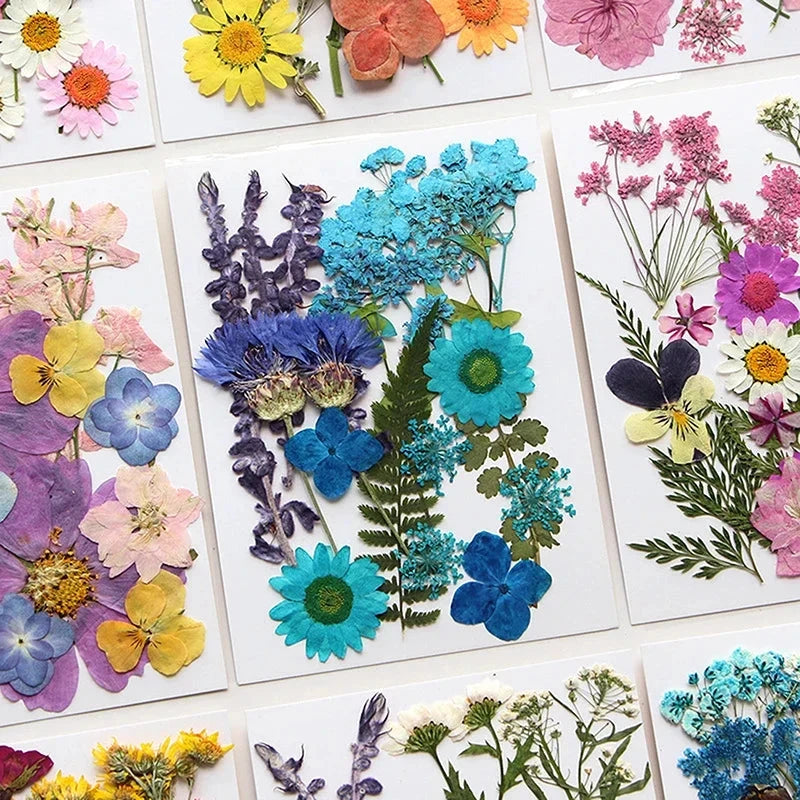 For Fun DIY Embossed Dried Flower Resin Fillings Real Flower for Home Decoration Nail Art Handicrafts Jewelry Making Crafts Econic Blanks