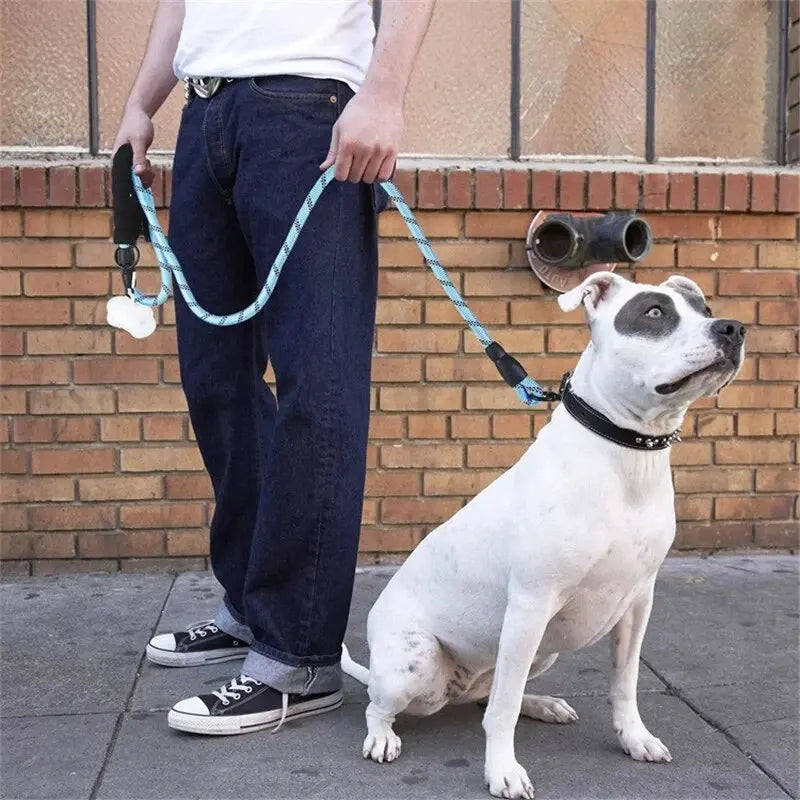 Reflective Dog Leash With Comfortable Padded Handle - Double Heavy Duty Traction Rope For Strong Dogs - Enhance Safety And Contr Econic Blanks
