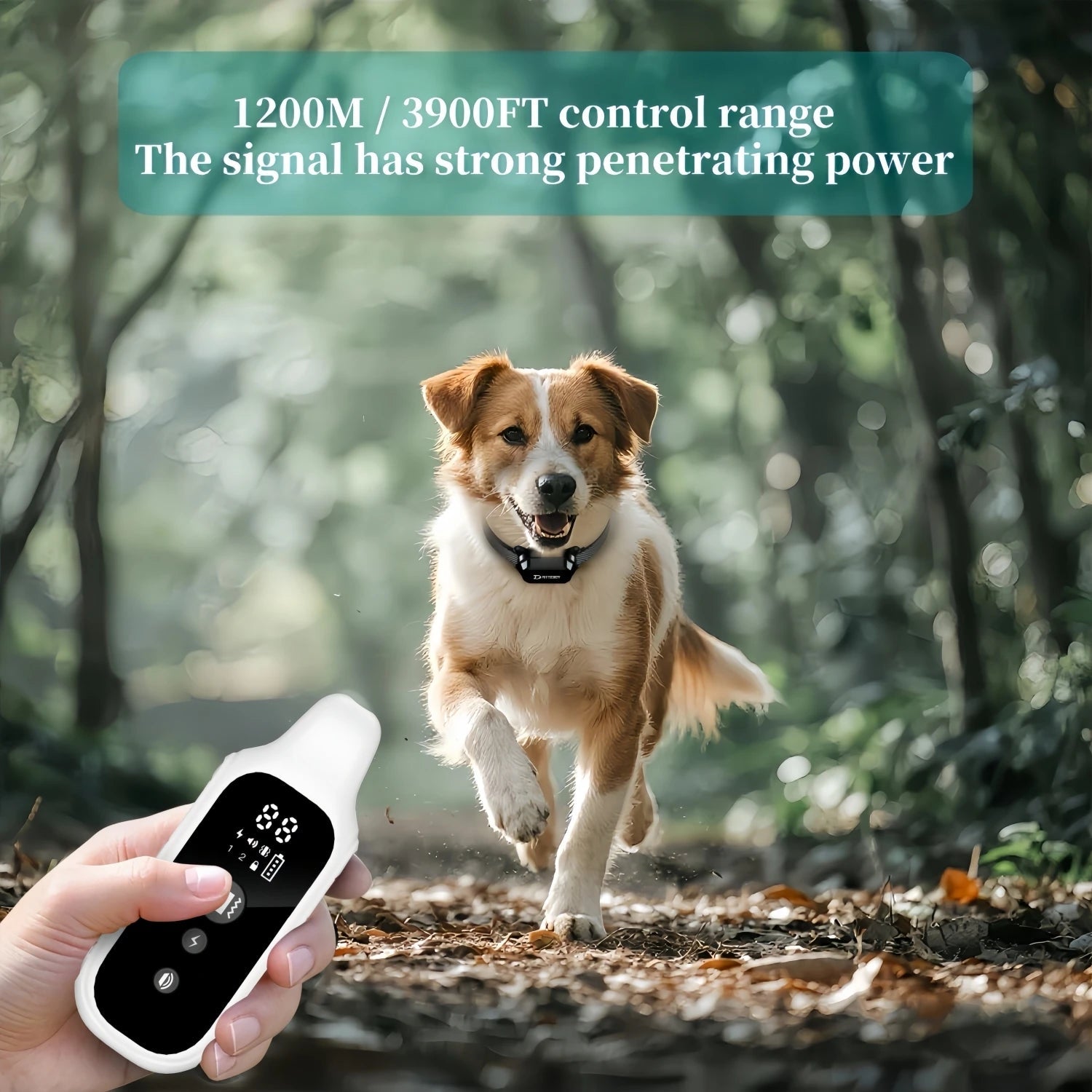 800m Digital Dog Training Collar Waterproof Rechargeable Remote Control Pet with LCD Display for All Size Shock Vibration Sound Quick Pick Grocers