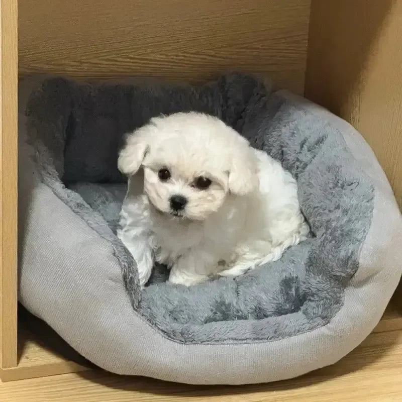 Very Soft Warm Dog Bed Pets Basket Cat House Sofa for Medium Large Dog Sofa Bed Cushion Dog Bed House Pet Supplies Accessories Quick Pick Grocers