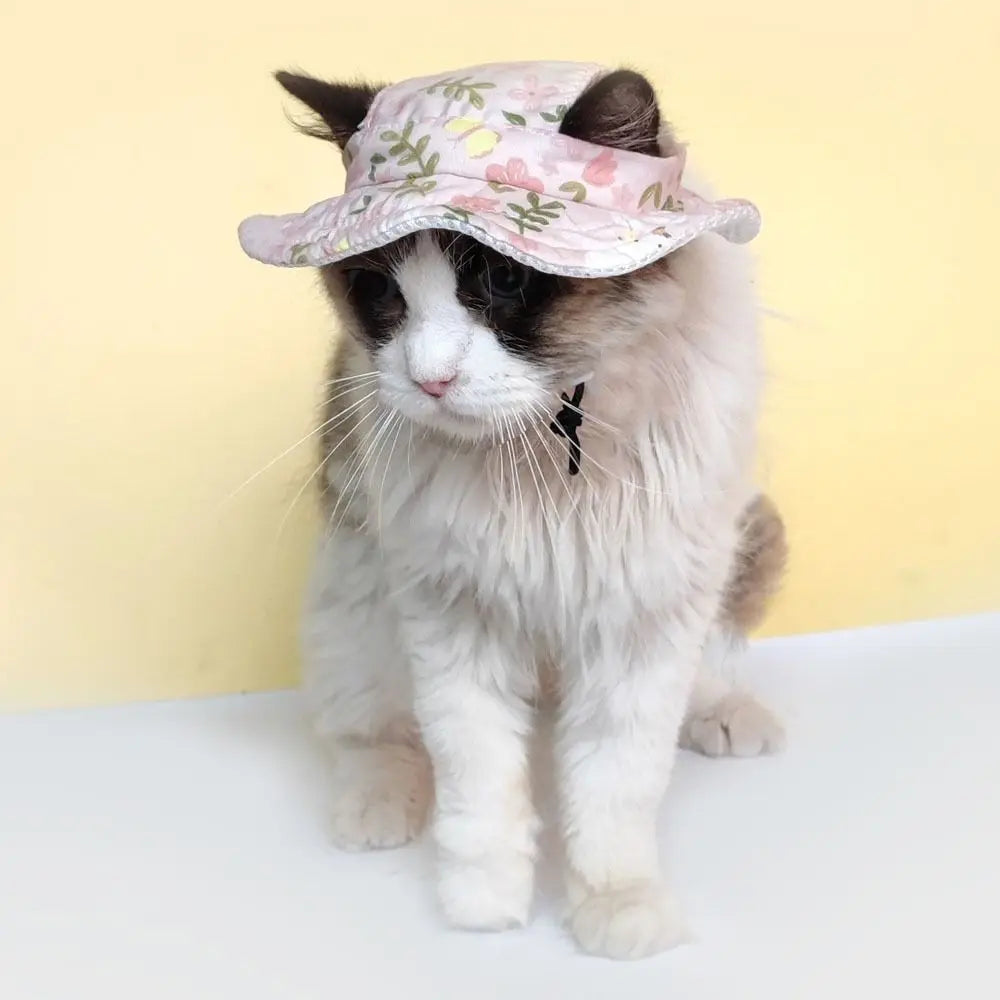 High-quality Adjustable Pet Sun Hat Cat Dog Breathable Dog Sunshade Hats Outdoor Travel Pet Fisherman Hat Quick Pick Grocers