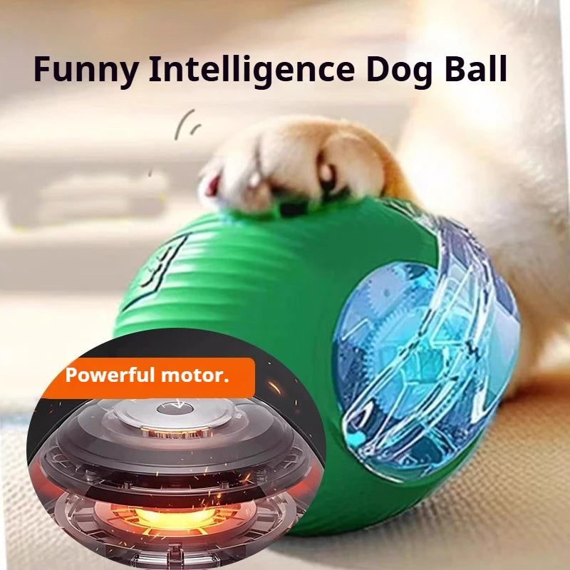 New Dog Interactive Ball Toy,Automatic Rolling Dog Ball Rechargeable,Smart Puppy Interactive Toy,Intelligent Balls Toy for Dogs Quick Pick Grocers