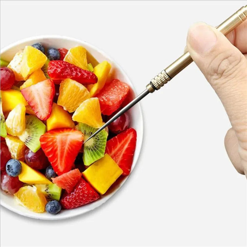 Titanium & Brass Toothpick, Portable Toothpick Bottle with Fruit Fork, Multifunctional Camping Tool, Stronger Than Dental Floss Econic Blanks