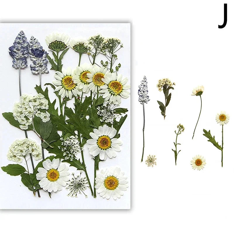 For Fun DIY Embossed Dried Flower Resin Fillings Real Flower for Home Decoration Nail Art Handicrafts Jewelry Making Crafts Econic Blanks