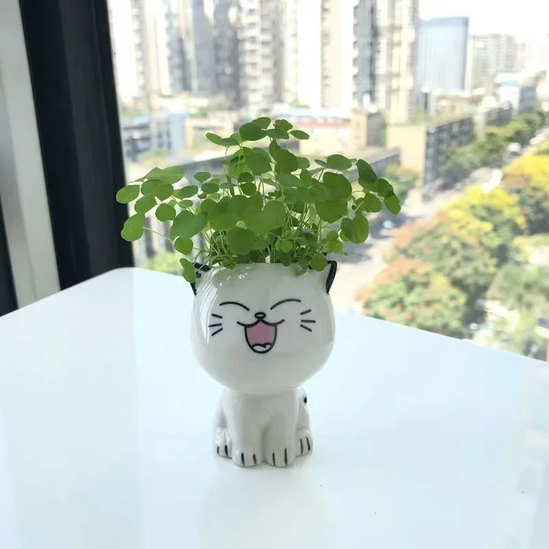 1pc Ceramic Flowerpot Mini Cat Cartoon Cute Plant Desktop Potted Plant Pot DIY Decorate Toys Science Education School Gifts Quick Pick Grocers
