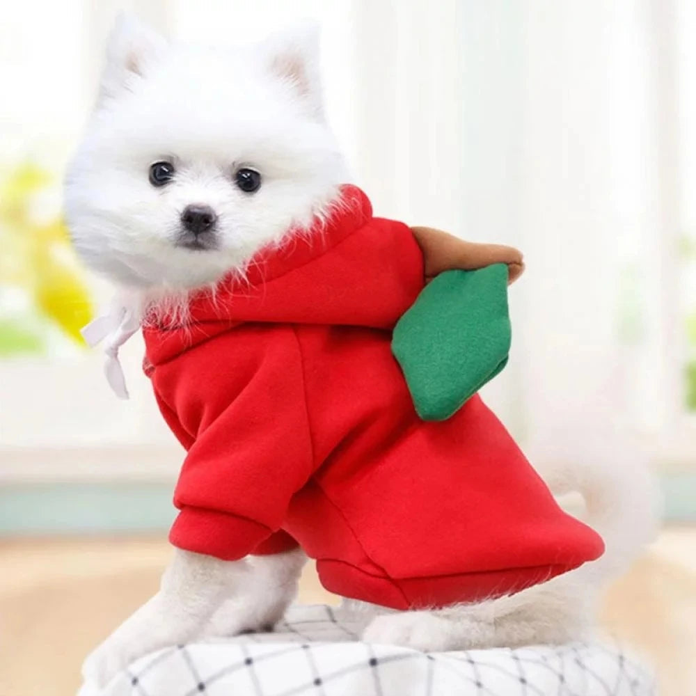 Cute Dog Hoodie Pet Fruit Clothes Funny Dog Cat Coats with Hat Halloween Cosplay Costume Dogs Hooded Sweatshirt for Puppies Cat Econic Blanks