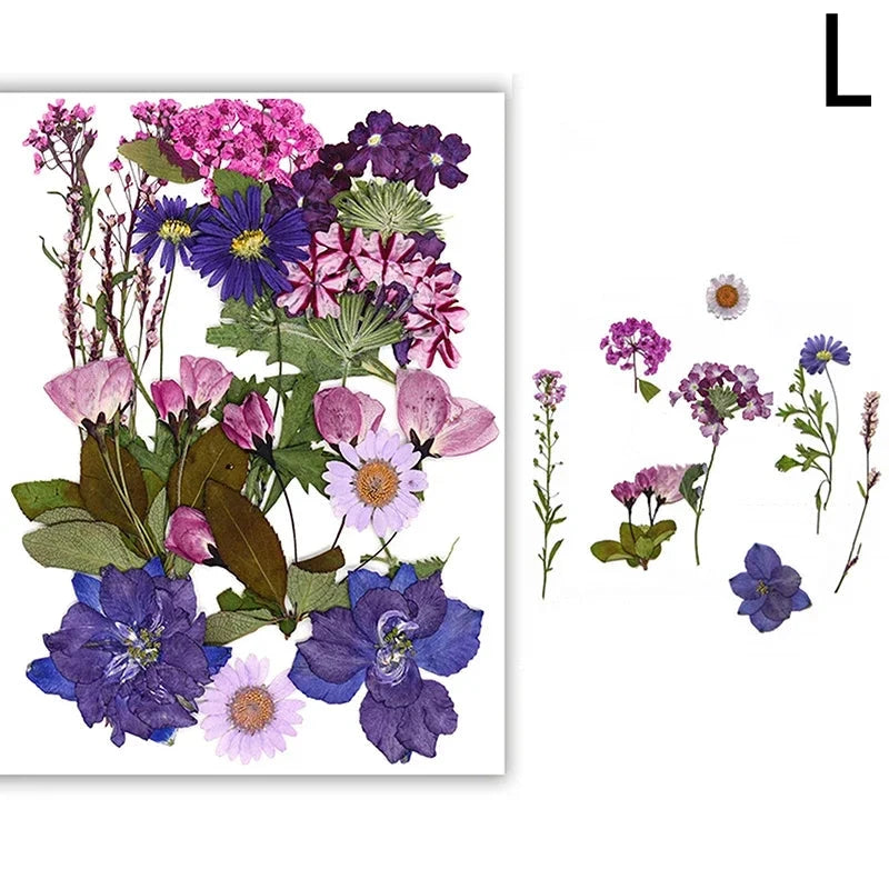 For Fun DIY Embossed Dried Flower Resin Fillings Real Flower for Home Decoration Nail Art Handicrafts Jewelry Making Crafts Econic Blanks