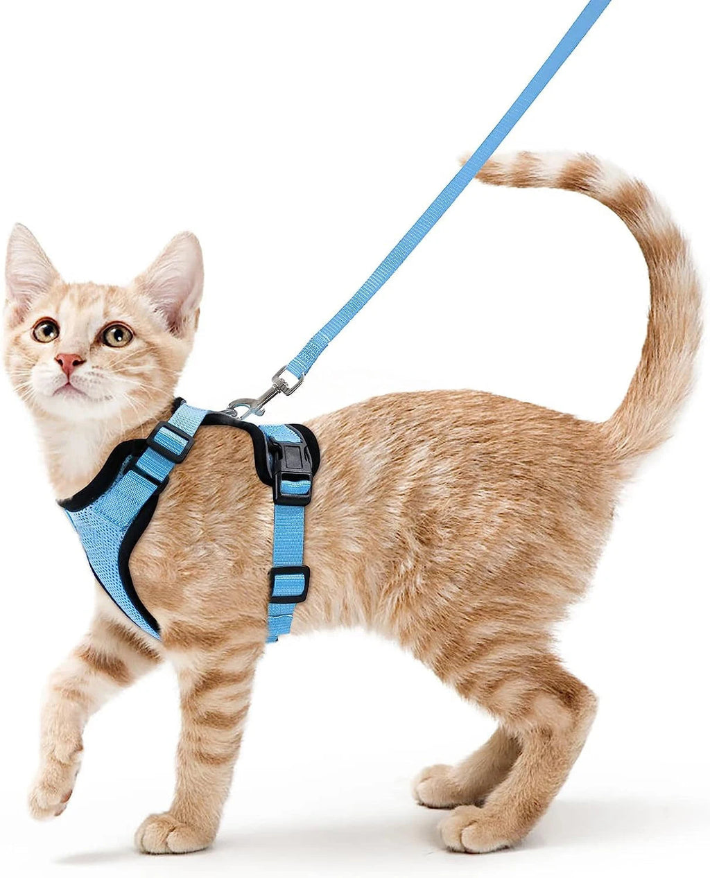 Cat Harness and Leash for Walking, Escape Proof Soft Adjustable Vest Harnesses for Cats, EasyControl Econic Blanks