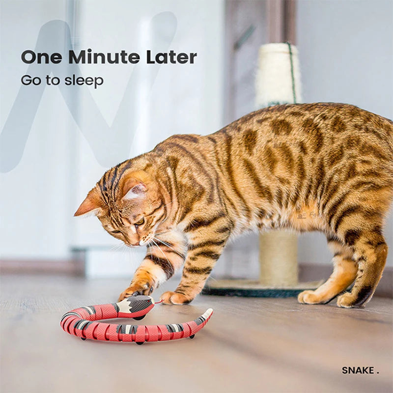 Automatic Cat Toys Interactive Smart Sensing Snake TeaseToys for Cats USB Charging Cat Accessories for Pet Cats  Game Play To Econic Blanks