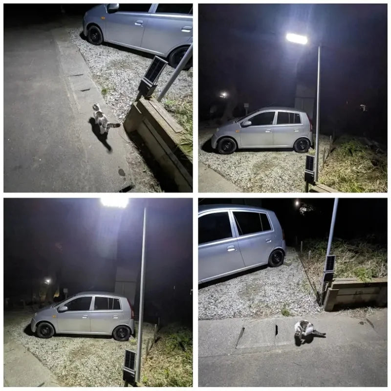 250W Solar Lights Outdoor Waterproof 8000LM LED Flood Lights Motion Sensor with Remote 3 Modes Street Lamp for Yard Garden Path Quick Pick Grocers