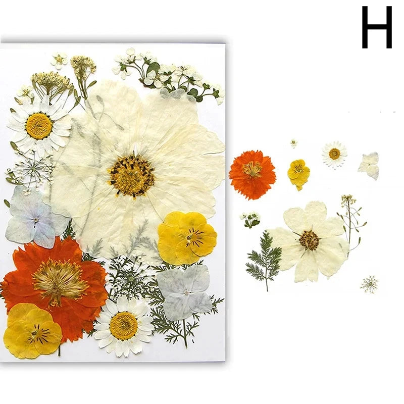 For Fun DIY Embossed Dried Flower Resin Fillings Real Flower for Home Decoration Nail Art Handicrafts Jewelry Making Crafts Econic Blanks