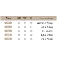 Women Summer Short Sleeved Top for Fashion Versatile Base Shirt Slim Fit Round Neck T-shirt Casual and Sexy Breathable and Cool Quick Pick Grocers