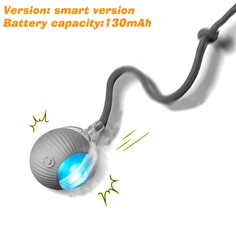 New Dog Interactive Ball Toy,Automatic Rolling Dog Ball Rechargeable,Smart Puppy Interactive Toy,Intelligent Balls Toy for Dogs Quick Pick Grocers