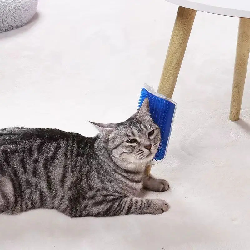 Cat Massage Tool Pet Hair Removal Massage Comb Wall Corner Self Cleaning Rubbing Brush Cats Toys Pet Beauty Supplies Econic Blanks