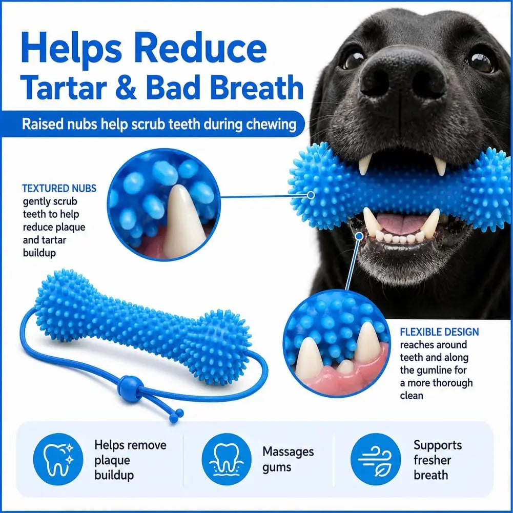 Dual-Action Canine Dental Prop, Dog Dental Chew Toy for Teeth Cleaning Brushing, Reusable Dental Chews for Dogs Quick Pick Grocers