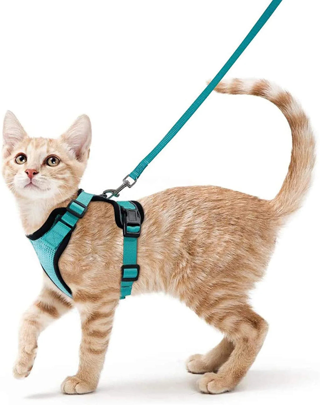 Cat Harness and Leash for Walking, Escape Proof Soft Adjustable Vest Harnesses for Cats, EasyControl Econic Blanks