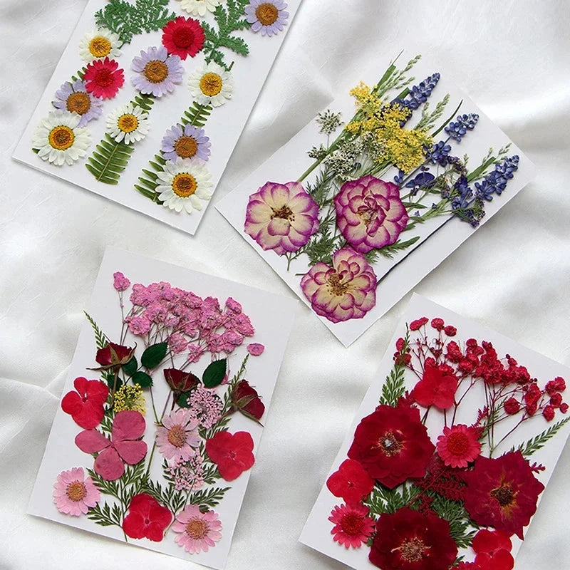 For Fun DIY Embossed Dried Flower Resin Fillings Real Flower for Home Decoration Nail Art Handicrafts Jewelry Making Crafts Econic Blanks