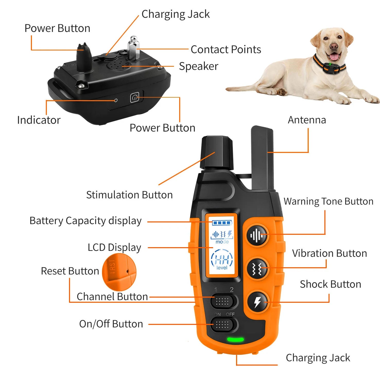 3300Ft Electric Dog Training Collar Remote Control Waterproof Pet BehaviorFor 5-120lbs Puppy With Shock Vibration Quick Pick Grocers