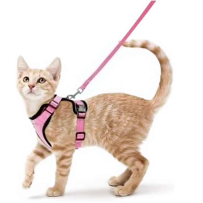 Cat Harness and Leash for Walking, Escape Proof Soft Adjustable Vest Harnesses for Cats, EasyControl Econic Blanks