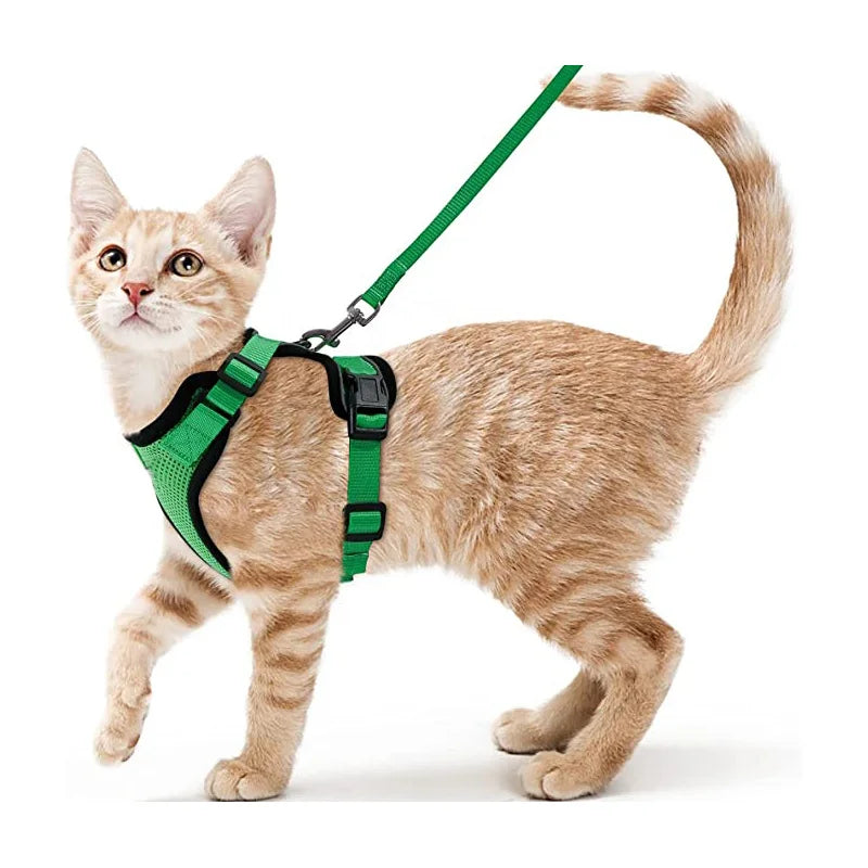Cat Harness and Leash for Walking, Escape Proof Soft Adjustable Vest Harnesses for Cats, EasyControl Econic Blanks