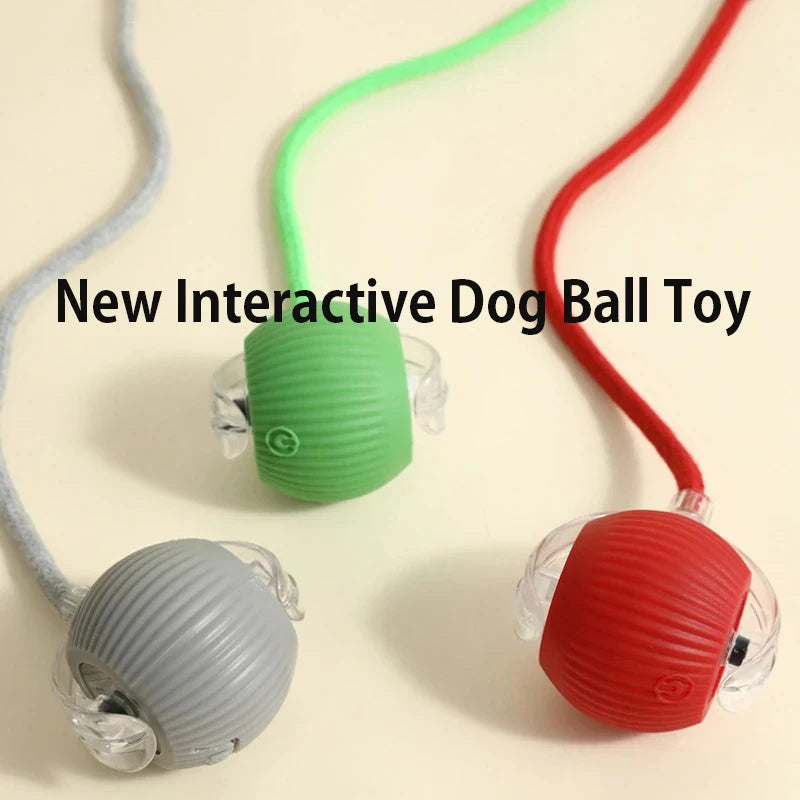 New Dog Interactive Ball Toy,Automatic Rolling Dog Ball Rechargeable,Smart Puppy Interactive Toy,Intelligent Balls Toy for Dogs Quick Pick Grocers