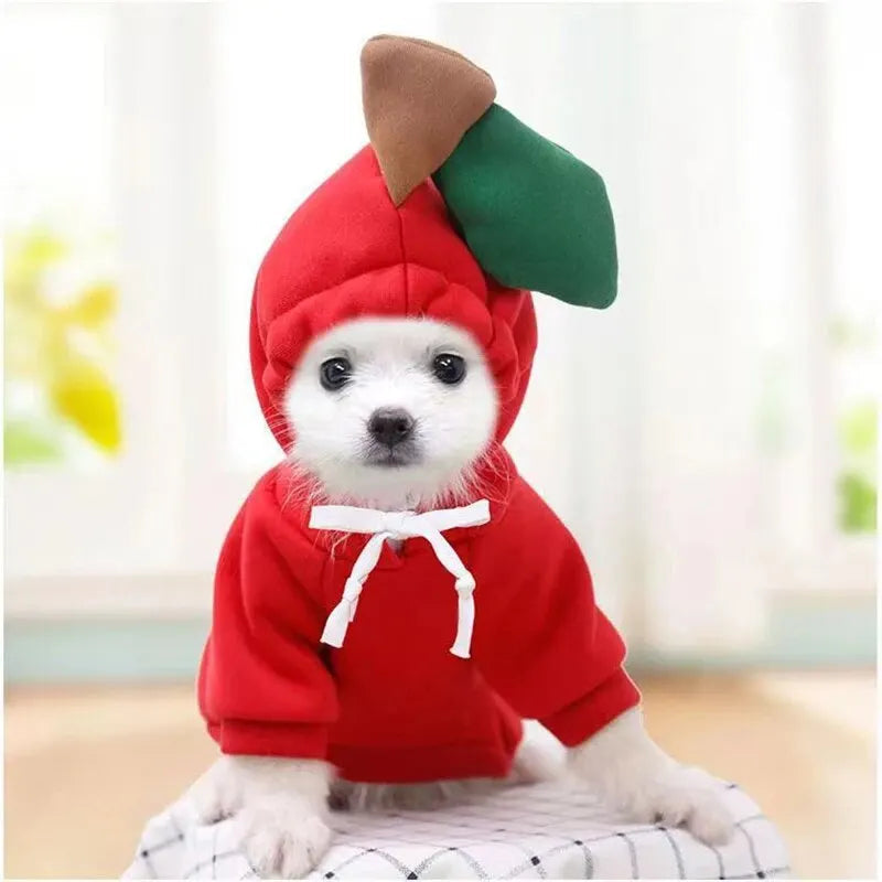 Cute Dog Hoodie Pet Fruit Clothes Funny Dog Cat Coats with Hat Halloween Cosplay Costume Dogs Hooded Sweatshirt for Puppies Cat Econic Blanks